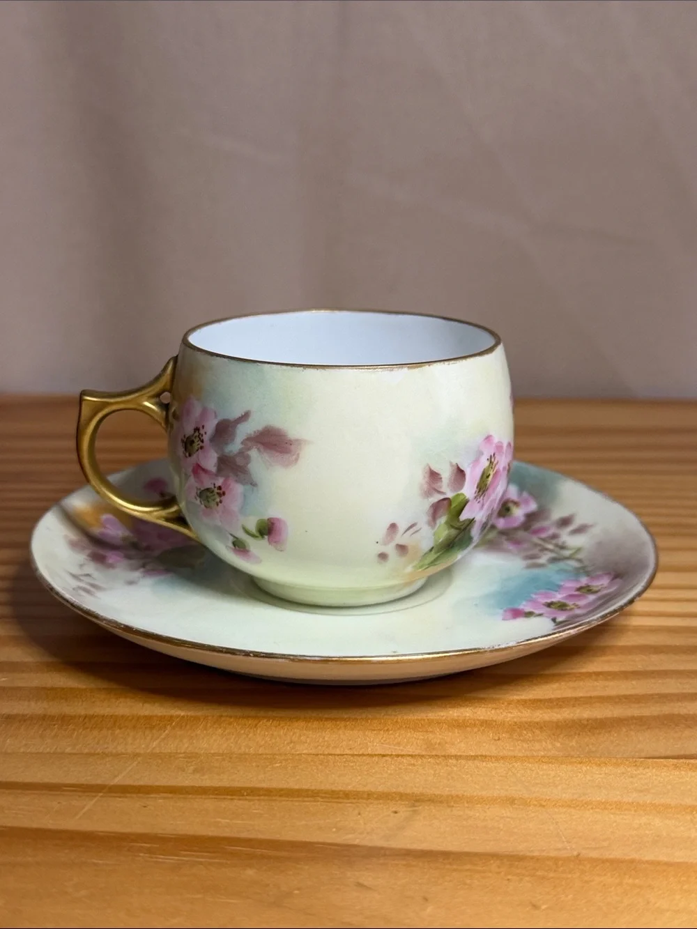 Antique Rosenthal Bavaria Hand Painted Teacup Saucer Set